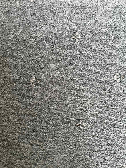 Photo of free Piece of carpet (Greaves LA1) #1