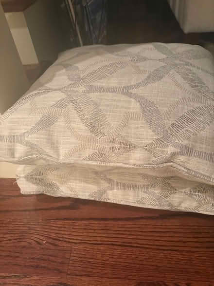 Photo of free 2 accent pillows (Plymouth Meeting) #2
