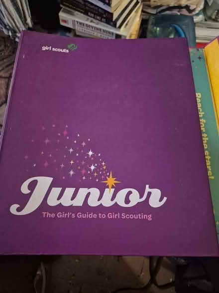 Photo of free Girl Scout stuff (Central Harlem) #3
