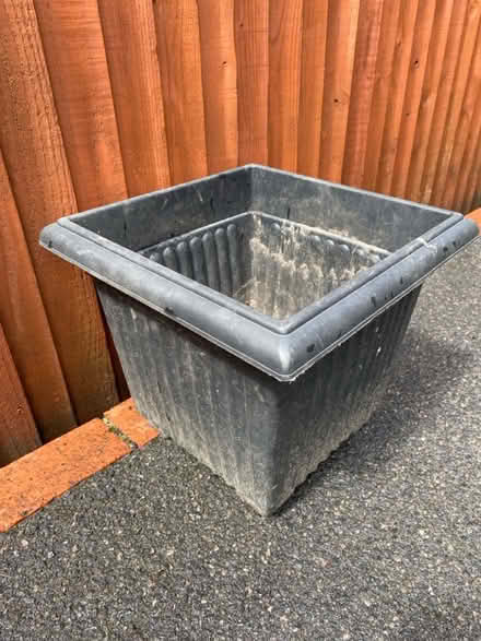Photo of free Large plastic plant pot (Waterlooville PO7) #1
