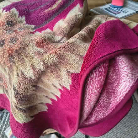 Photo of free Large soft rug (Harden BD16) #1