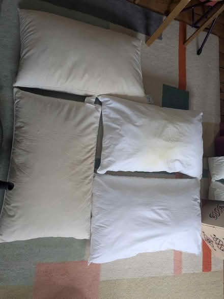Photo of free 4 Pillows (Fleetville AL1) #1