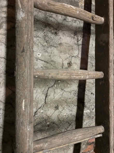 Photo of free Wooden Ladder (Catford South SE12) #2