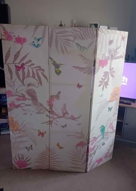 Photo of free Screen (folds) 147cms tall (Colchester CO2) #1
