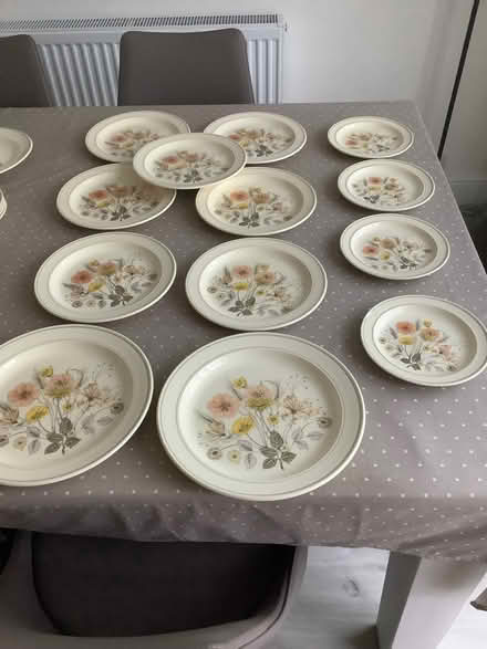 Photo of free Assorted china - hedgerow design. (Warwick CV34) #2