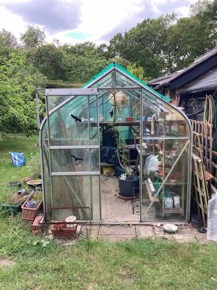 Photo of free Greenhouse (Campsey Ash IP13) #1