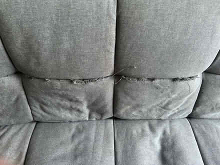Photo of free click clack sofa bed (Newton with Scales) #3