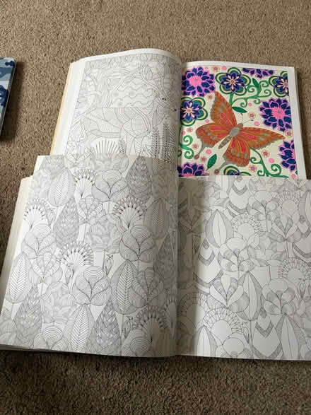 Photo of free 2 part used adult colouring books and gel pens (Longbarn WA2) #3