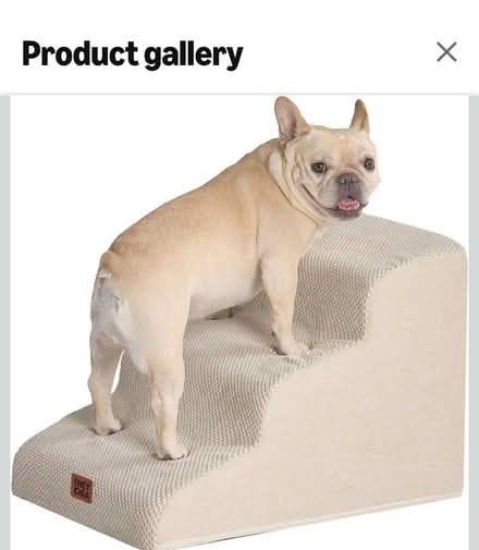 Photo of free Steps for dog or cat (Baguley M23) #1