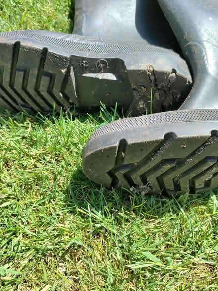 Photo of free Mens wellies (California DE22) #2