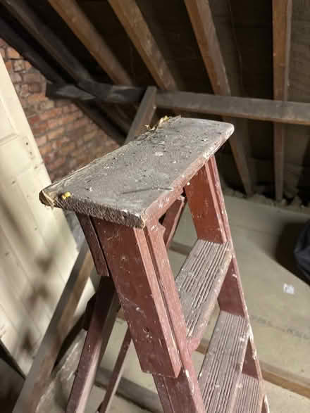 Photo of free Painters ladder (Catford South SE12) #3