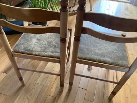 Photo of free 2 dining room chairs (Edinburgh EH5) #1