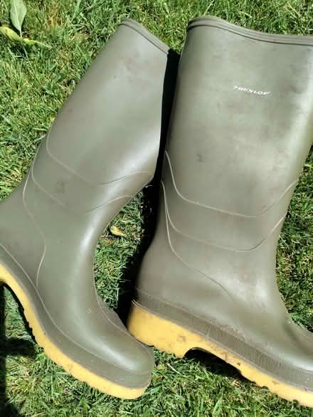 Photo of free Ladies wellies (California DE22) #1