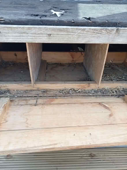 Photo of free Animal/chicken house (Brede TN35) #2