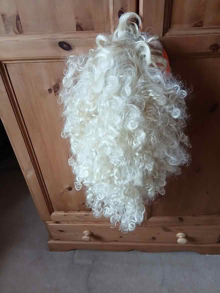 Photo of free Dressing up wig (Reading RG1) #1