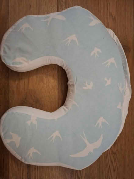 Photo of free Breastfeeding cushion (Westminster SW1P) #2