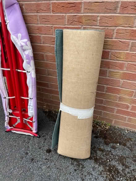 Photo of free Roll of Green Carpet (Wallands Park BN7) #2