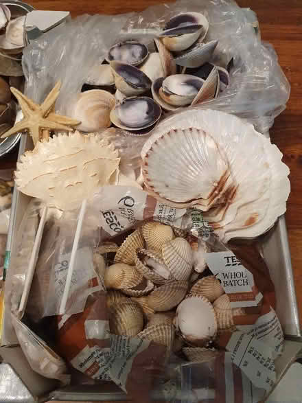 Photo of free Craft bits - shells, broken china (for mosaics), glass paint (Hungerford RG17) #2