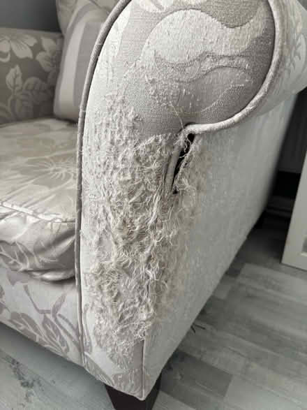 Photo of free Arm chair (Garston L19) #3