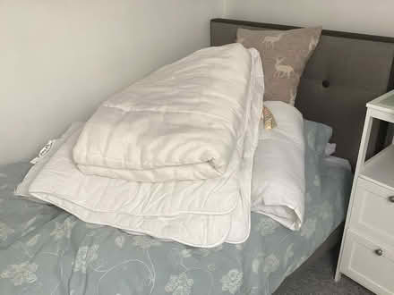 Photo of free Duvets (3) (Farlington PO6) #1
