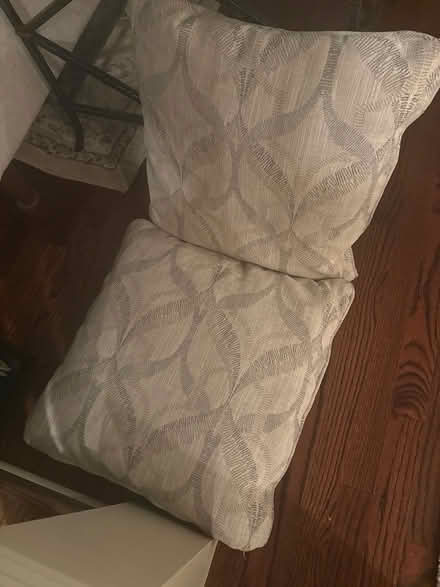 Photo of free 2 accent pillows (Plymouth Meeting) #1
