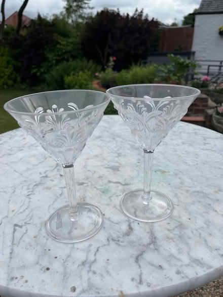 Photo of free Plastic Cocktail Glasses (West Bridgford, Nottingham NG2) #1