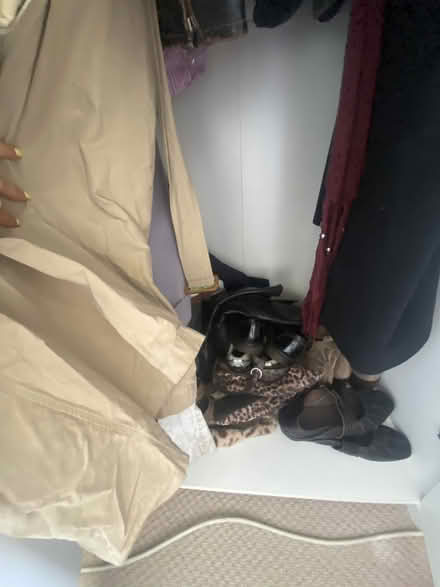 Photo of free Wardrobe (N7 9SH) #3