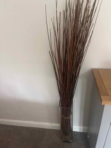 Photo of free Large vase with decorative sticks (Middleton on sea) #1