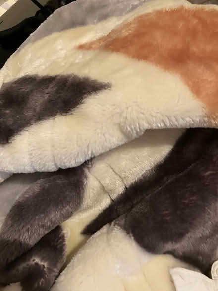Photo of free A beautiful thick blanket (CR7) #1
