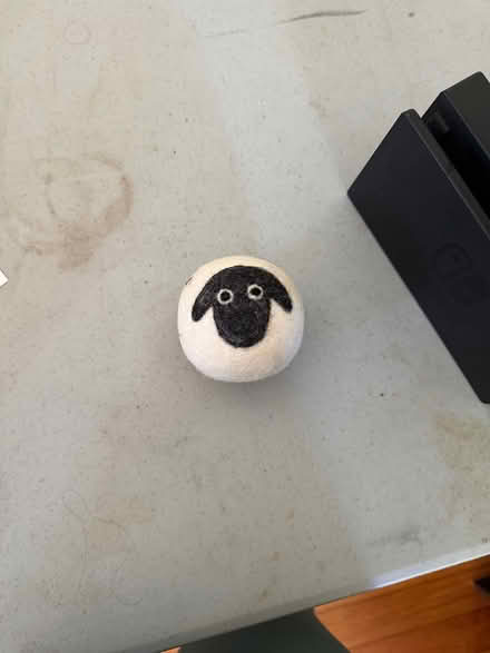 Photo of free Wool dryer ball (Waltham, near Lexington st.) #1