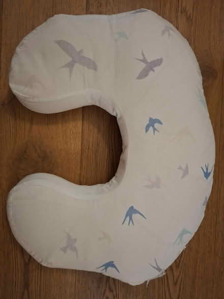 Photo of free Breastfeeding cushion (Westminster SW1P) #1