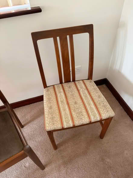 Photo of free Dining chairs (Rayleigh SS6) #3