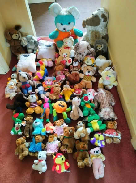 Photo of free Lots of soft toys (Hereford HR4) #1