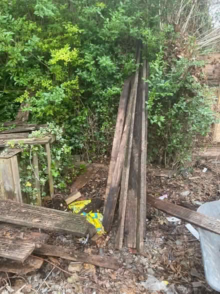 Photo of free Wood (Reddish SK4) #3