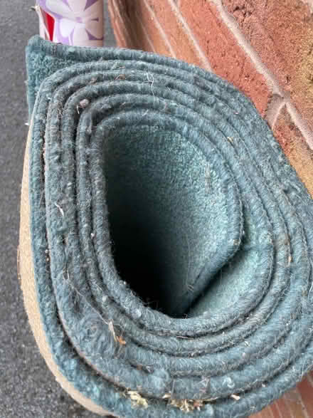 Photo of free Roll of Green Carpet (Wallands Park BN7) #1
