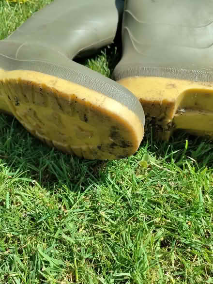 Photo of free Ladies wellies (California DE22) #2