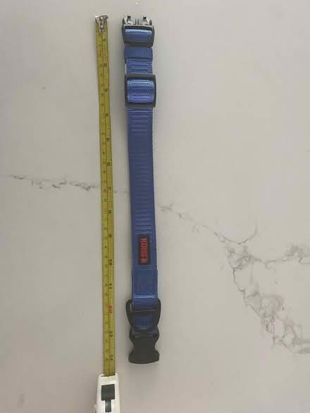 Photo of free New Kong dog collar (Reading Highlands) #2