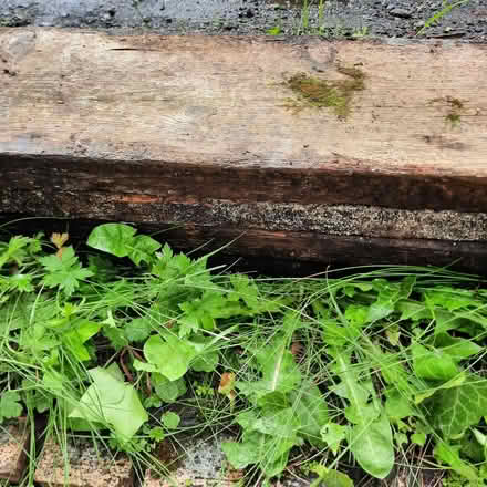 Photo of free Four lengths timber - for raised beds? (Witton le Wear DL15) #3