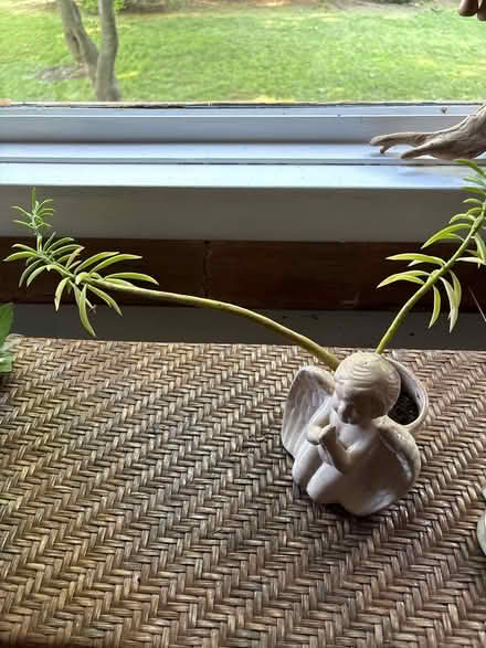 Photo of free Birdhouse and other tchotchkes (Croton-on-Hudson) #2