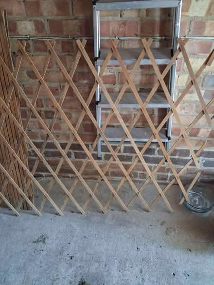 Photo of free Trellis x 3 (Wollaton ng8) #1