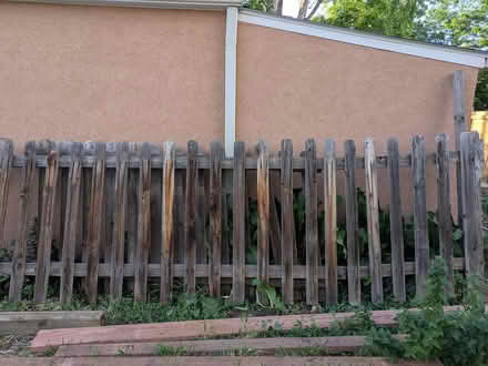 Photo of free 50 in tall cedar fence (Front range area) #1