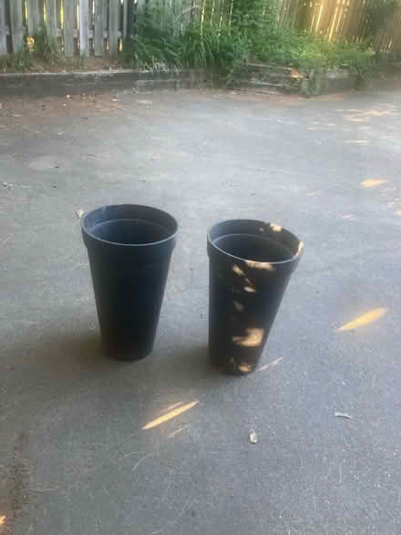 Photo of free 2 Tall Pots (Annandale outside Beltwy) #1