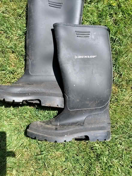 Photo of free Mens wellies (California DE22) #1