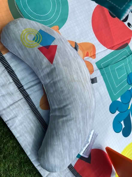 Photo of free Baby Einstein play mat (SL6) #2