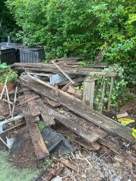 Photo of free Wood (Reddish SK4) #2
