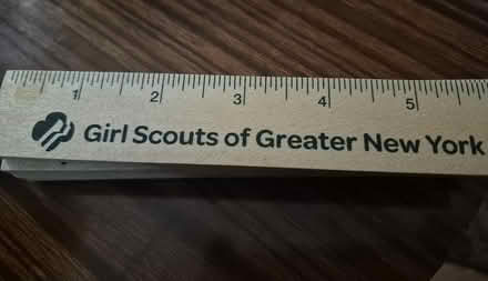 Photo of free Girl Scout stuff (Central Harlem) #1