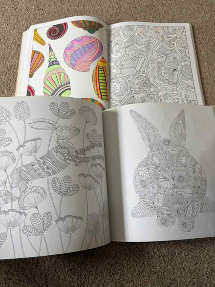 Photo of free 2 part used adult colouring books and gel pens (Longbarn WA2) #1