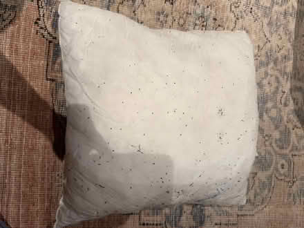 Photo of free Cushions (white) (SE1 3LD) #2