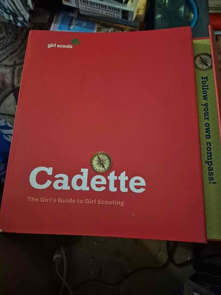 Photo of free Girl Scout stuff (Central Harlem) #2