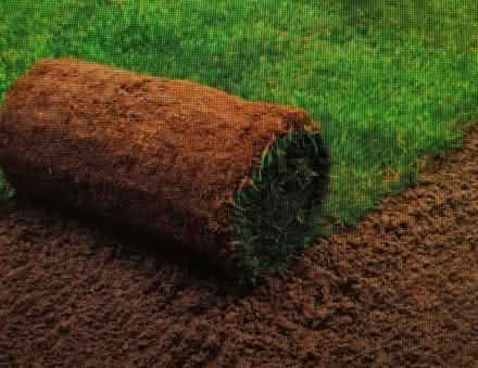 Photo of Turf (Caerphilly CF83) #1